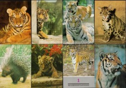 ** 60 Db MODERN Megíratlan állatos Motívumlap / 60 MODERN Unused Animal Motive Cards - Unclassified