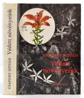 Csapody István: Védett Növényeink. Bp., 1982, Gondolat. Kartonált... - Ohne Zuordnung