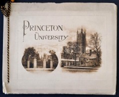 Princeton University Photo-Gravures. New York, é.n. (1890), The Albertype Company, 36 T. Kiadói... - Ohne Zuordnung