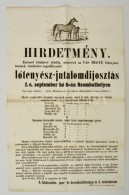 1871 Lótenyész Jutalomdíjosztás, Szombathely Hirdetmény 32x48 Cm - Altri & Non Classificati
