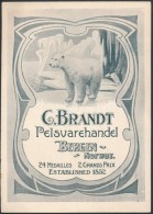 Cca 1910 C. Brandt Norvég SzÅ‘rmekereskedés Reklámfüzete, 16,5x12 Cm / C. Brandt Largest... - Pubblicitari