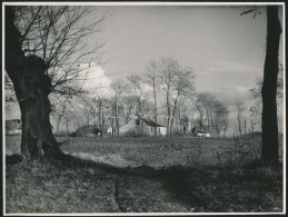 1958 DezsÅ‘ Pál (?-?): Tavasz A Pusztán, Feliratozott Vintage FotómÅ±vészeti... - Sonstige & Ohne Zuordnung