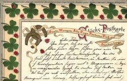 T2 1899 Glücks-Postkarte Herausgeben Von J. C. Schmidt/ Good Luck! Litho Greeting Card, Clovers - Ohne Zuordnung