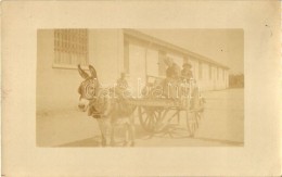 * T2 1918 Verona, Donkey Cart, Folklore, Photo - Ohne Zuordnung