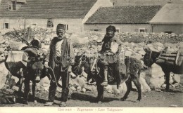 ** T2 Cetinje, Cettigne; Zigeuner / Les Tziganes / Gypsies With Donkeys. A. Reinwein - Ohne Zuordnung