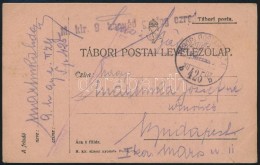 1917 Tábori Posta LevelezÅ‘lap 'M.kir. 9. Honvéd Gyalog Ezred' + 'TP 425 B' - Sonstige & Ohne Zuordnung