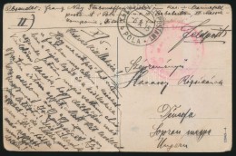 1915 Tábori Posta Képeslap 'K.u.k. Seebataillon' + 'MFP POLA D' - Sonstige & Ohne Zuordnung