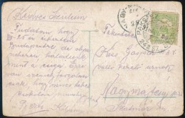 1916 Képeslap Turul 5f Bérmentesítéssel 'PAKS-SZ. FEJÉRVÁR / 242 SZ.'... - Other & Unclassified
