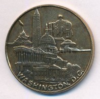 Amerikai Egyesült Államok DN 'Washington D.C.' Br Emlékérem (29mm) T:2
USA ND 'Washington... - Non Classificati