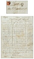 Grille / N° 6 (carmin Brun) Càd T 15 MARSEILLE Sur Lettre Avec Texte Daté De Salonique Pour Lyon.... - Sonstige & Ohne Zuordnung