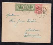 Finnland Finland 1919 Cover From HILTOLA To MÖRSKOM - Lettres & Documents
