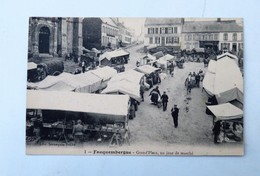 C.P.A. 62 FAUQUEMBERGUE : Grand'Place, Un Jour De Marché - Fauquembergues