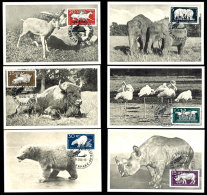 Tierpark Berlin Komplett Auf 6 Maximumkarten Mit ESST BERLIN-FRIEDRICHSFELDE 14.12.56, Tadellos, Katalog: 551/56 MK... - Sonstige & Ohne Zuordnung