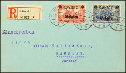 1 Fr.25 C. Mit 2 Fr.50 C. Auf Sammler-R-Brief Von "BRÜSSEL 27.11.15 Nach Hamburg Mit Ank,stpl., Katalog: 8,9... - Other & Unclassified