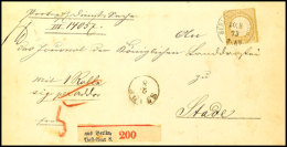 5 Gr. Großer Schild Ockerbraun, Kleine Marke L15 Mit EKr. BERLIN POST-EXP.8 20.8.73 Als Portogerechte... - Sonstige & Ohne Zuordnung