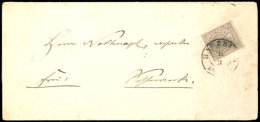 ¼ Gr. Hellrotviolett, Einzelfrankatur Auf Ortsbrief Von "HARZBURG 10 3" ,1871, Katalog: 13a BFGr. Pale... - Other & Unclassified