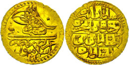 Zeri Mahbub, (2,40g), 1789-1807, (1203 AH), Selim III., KM 523, Randfehler, Vz-st.  Vz-stZeri Mahbub, (2, 40g),... - Turkey