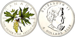 5 Dollars, 2005, Maple Leaf - Grün (Tampondruck), Im Etui Mit OVP Und Zertifikat, PP.  PP5 Dollars, 2005,... - Other & Unclassified
