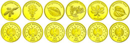 Set Zu 6 X 20 Euro, Gold, 2010-2015, Eiche-Linde, Mit Zertifikaten In Ausgabeschatulle, St.  StSet To 6 X 20... - Sonstige & Ohne Zuordnung