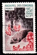 COMORES COMORO ISLANDS     Poissons   Mérou 1v. - Used Stamps