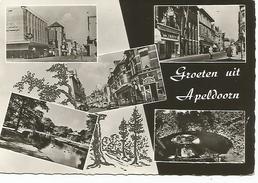 Apeldoorn - Apeldoorn