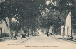 84 // SORGUES    L'avenue Près La Gendarmerie   Edit F Beau - Sorgues