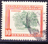 Uruguay - Kermesbeere (Phytolacca Dioica) (MiNr: 783) 1954 - Gest Used Obl - Uruguay