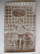 CARTE PHOTO - Enfant Posant Au Jardin Avec Deux Chiens - Scene & Paesaggi
