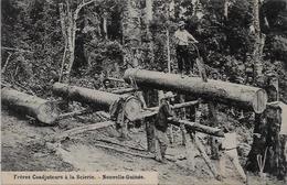 CPA Nouvelle Guinée Océanie Scieur De Long Métier Du Bois écrite - Papua-Neuguinea