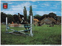 Grote Kaart Brasschaat Park Hemelhoeve Paardensport Jumping Paard Cheval Horse Animal - Brasschaat