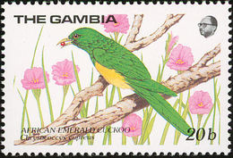 Gambie. Gambia.1989.   African Emerald Cuckoo    Chrysococcyx Cupreus - Cuckoos & Turacos