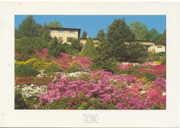 TICINO, Parco Botanico San Grato, Carona, Unused Postcard [19582] - Carona 