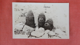 RPPC  > Giant Cactus   Ref --2500 - Cactus