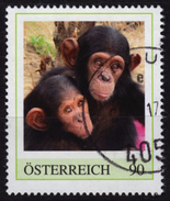 Monkey Chimpanzee / 2000´s Austria - Personal Stamp / USED / Traun - Scimpanzé