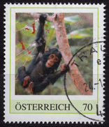 Monkey Chimpanzee / 2000´s Austria - Personal Stamp / USED / Traun - Chimpanzees