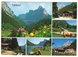 Suisse // Schweiz // Switzerland // Valais // Vouvry-Miex-Tanay - Vouvry