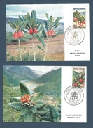 5 X Cartes-maximum - NOUVELLE CALEDONIE (New Caledonia) - 1964-1965 - Cartoline Maximum