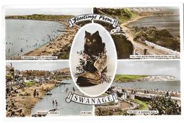 CPA De Swanage (Dorset England): Multivues Cat - Swanage