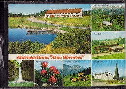 Oberstaufen Steibis - Alpengasthaus Alpe Hörmoos - Oberstaufen