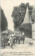 BAYE RUE DE SAZANNE VERS L'ENTREE DU CHATEAU FEMME ET SON TROUPEAU DE VACHES - Autres & Non Classés