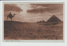 EGYPTE - SUNSET ON THE DESERT - Pyramids
