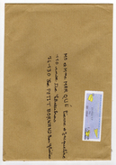Enveloppe Avec Vignette D' Affranchissement Oblitération Lettre Verte G02 21/02/2017 - 2000 Type « Avions En Papier »
