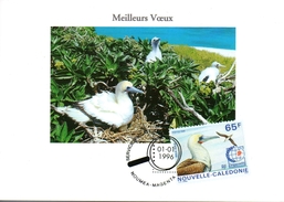 Carte De Voeux De L' OPT Nouvelle Calédonie - TP Repiquer N° 697  Du 01.01.96 - Enteros Postales