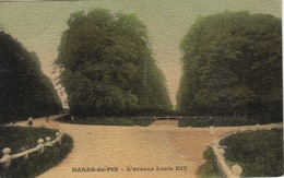 61 - LE PIN AU HARAS  - Pres D'EXMES -  LE HARAS DU PIN  - L'AVENUE LOUIS XIV - Exmes