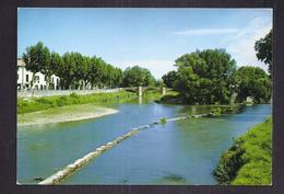 CPSM 84 - BEDARRIDES - L'Ouvèze Et La Sorgue - TB PLAN Des 2 Cours D'eau Avec Vue Sur Le Village à Gauche - Bedarrides