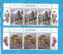 1999  2910-11  EUROPA CEPT FLORA FAUNA BIRDS JUGOSLAVIJA JUGOSLAWIEN  USED - 1999