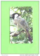 BAHRAIN - Magnetic Phonecard/Bird - Baharain