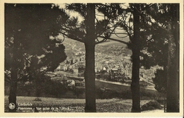 Ettelbrück  -- Panorama - Vue Prise De La Nuck.    ( 2 Scans) - Ettelbruck