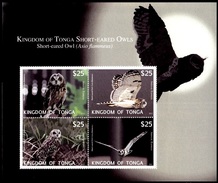 (025) Tonga   Birds / Owls Sheet / Bf / Bloc Oiseaux / Hiboux / Vögel / Eulen   ** / Mnh  Michel BL 57 - Tonga (1970-...)