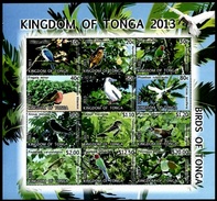 (031) Tonga   Birds Sheetlet / Feuillet Oiseaux / KB Vögel   ** / Mnh  Michel 1897-1908 - Tonga (1970-...)